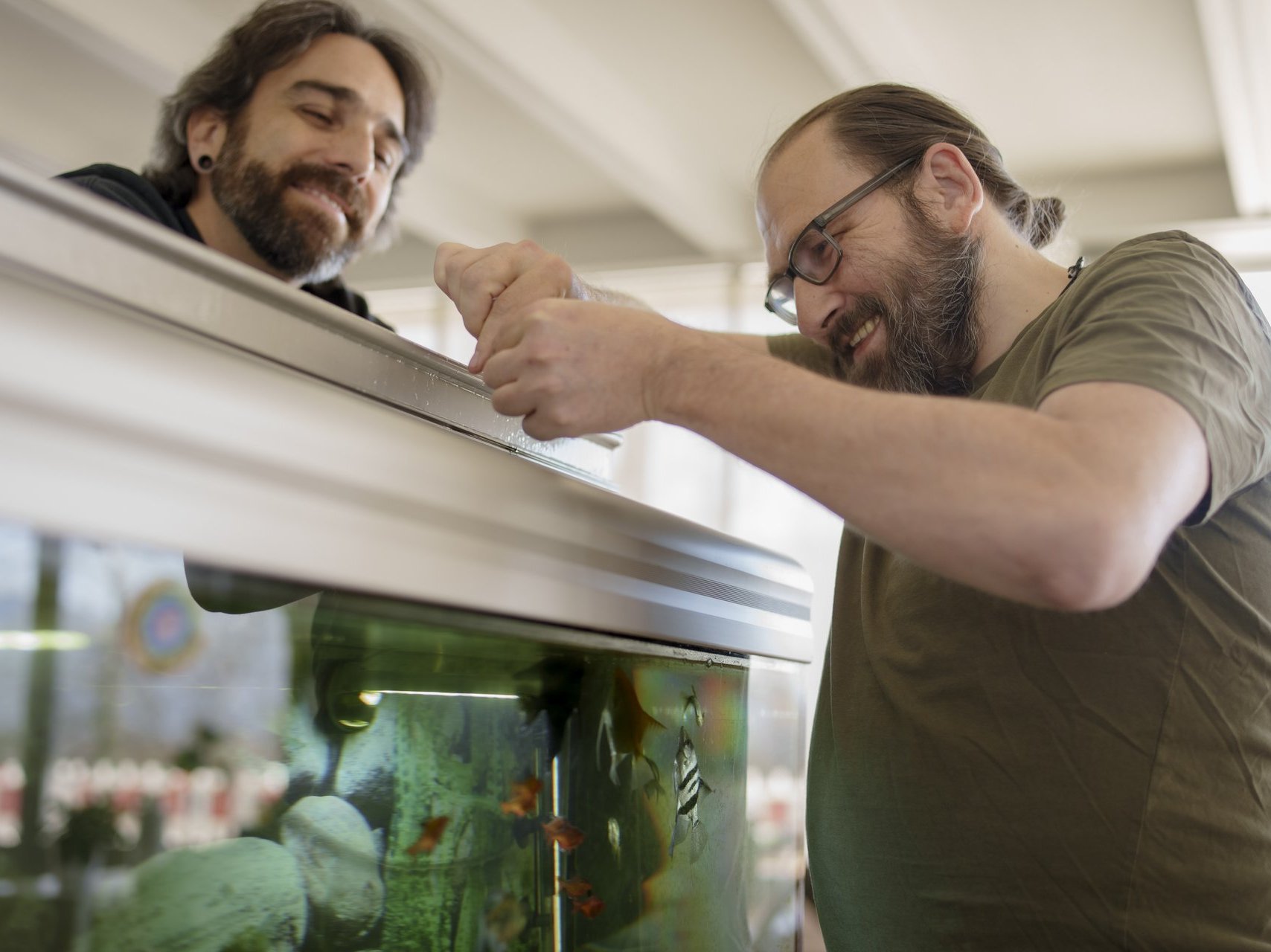Zwei Männer verschließen ein Aquarium.