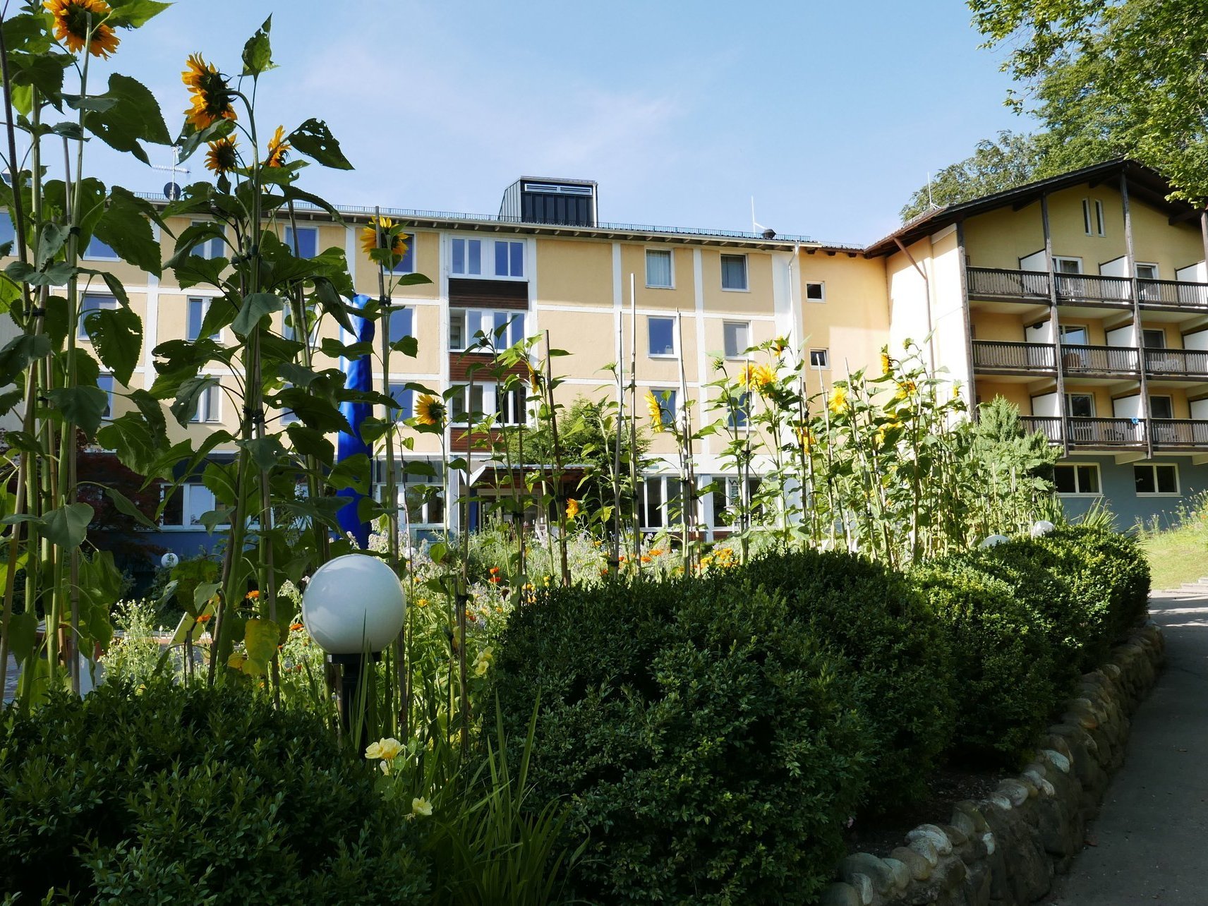 Aussenaufnahme: Sonnenblumen in der Einfahrt zur Suchthilfe